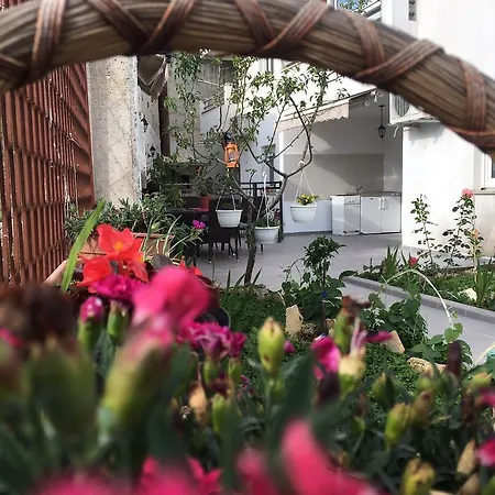 The Big Terrace * מאקרסקה